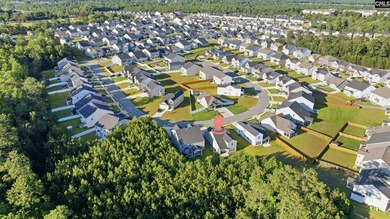 Why wait on new construction when you have this stunning - photo 22