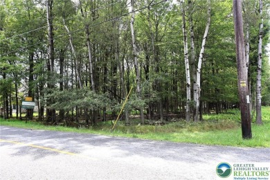 Lake Lot For Sale in Penn Forest Twp, Pennsylvania