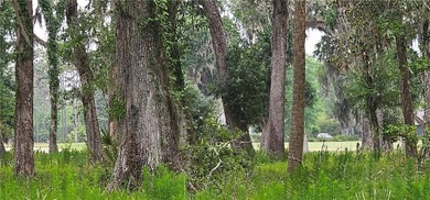 This is a beautiful buildable lot in Sanctuary Cove that is - photo 3