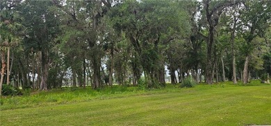 This is a beautiful buildable lot in Sanctuary Cove that is - photo 4