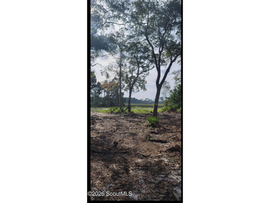 Beautifully cleared residential lot offering breathtakingly - photo 1