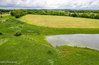 (private lake, pond, creek) Acreage For Sale in Bagdad Kentucky