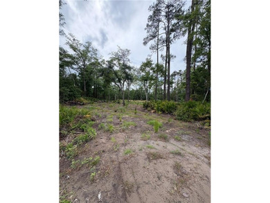 Beautifully cleared residential lot offering breathtakingly - photo 7