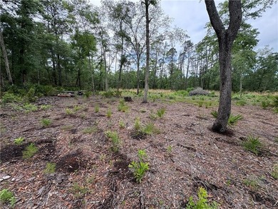 Beautifully cleared residential lot offering breathtakingly - photo 8