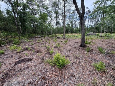 Beautifully cleared residential lot offering breathtakingly - photo 9