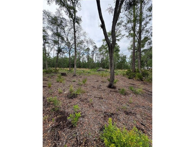Beautifully cleared residential lot offering breathtakingly - photo 10
