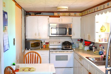Ballard, WV - A true homestead or mini-farm with major upgrades - photo 18