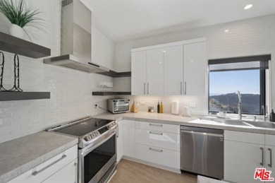 Sleek Architectural with Ocean Views. This striking contemporary - photo 21