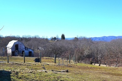 Ballard, WV - A true homestead or mini-farm with major upgrades - photo 30