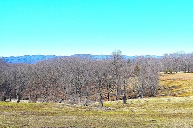 Ballard, WV - A true homestead or mini-farm with major upgrades - photo 31