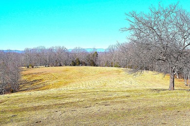 Ballard, WV - A true homestead or mini-farm with major upgrades - photo 32