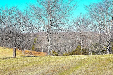 Ballard, WV - A true homestead or mini-farm with major upgrades - photo 33