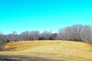 Ballard, WV - A true homestead or mini-farm with major upgrades - photo 34