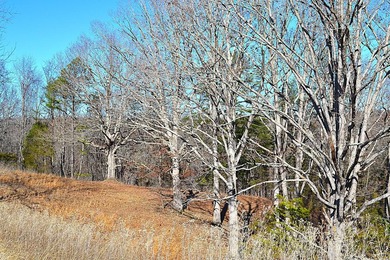 Ballard, WV - A true homestead or mini-farm with major upgrades - photo 35