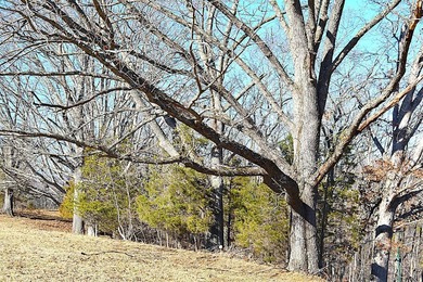 Ballard, WV - A true homestead or mini-farm with major upgrades - photo 37