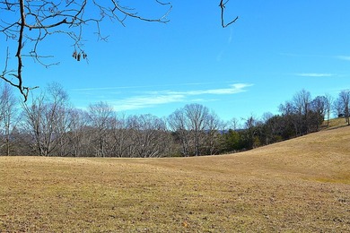 Ballard, WV - A true homestead or mini-farm with major upgrades - photo 41