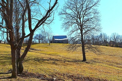 Ballard, WV - A true homestead or mini-farm with major upgrades - photo 42