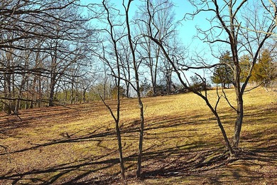 Ballard, WV - A true homestead or mini-farm with major upgrades - photo 43
