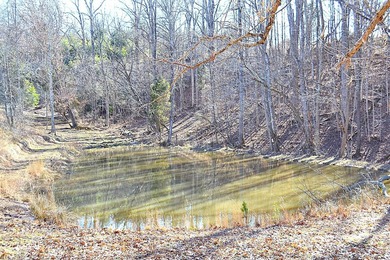Ballard, WV - A true homestead or mini-farm with major upgrades - photo 44