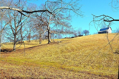 Ballard, WV - A true homestead or mini-farm with major upgrades - photo 45