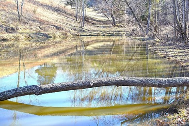 Ballard, WV - A true homestead or mini-farm with major upgrades - photo 46