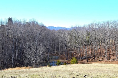 Ballard, WV - A true homestead or mini-farm with major upgrades - photo 48