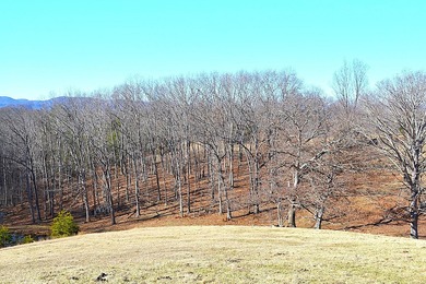 Ballard, WV - A true homestead or mini-farm with major upgrades - photo 49