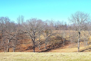 Ballard, WV - A true homestead or mini-farm with major upgrades - photo 50
