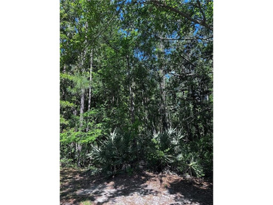 Beautiful 3.8-Acre Wooded Lot in Amenity-Rich Community - - photo 1