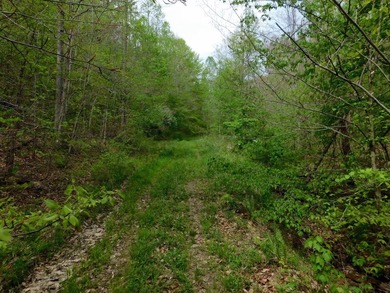 Tucked away in the scenic hills of Magoffin County, this - photo 11