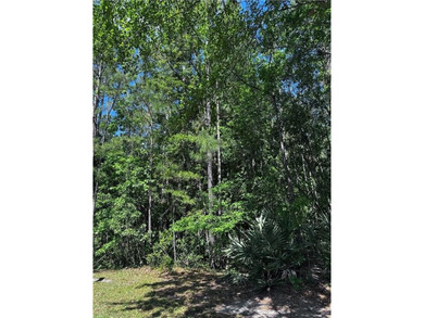 Beautiful 3.8-Acre Wooded Lot in Amenity-Rich Community - - photo 2