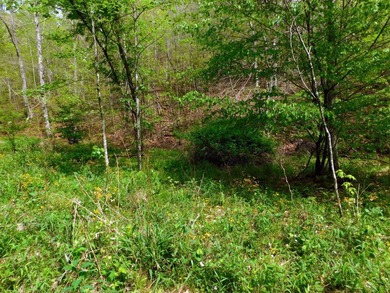 Tucked away in the scenic hills of Magoffin County, this - photo 12