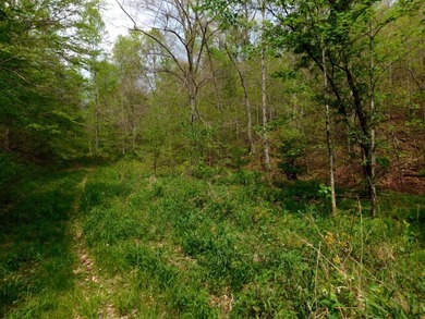 Tucked away in the scenic hills of Magoffin County, this - photo 13
