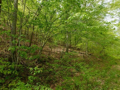 Tucked away in the scenic hills of Magoffin County, this - photo 14