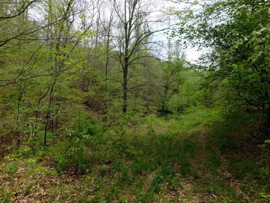 Tucked away in the scenic hills of Magoffin County, this - photo 15