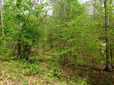 Tucked away in the scenic hills of Magoffin County, this - photo 16