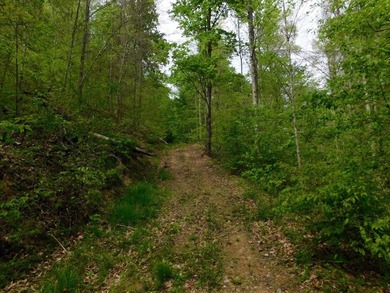 Tucked away in the scenic hills of Magoffin County, this - photo 17
