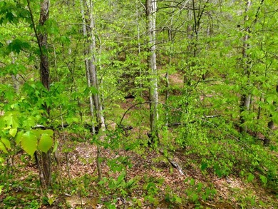 Tucked away in the scenic hills of Magoffin County, this - photo 18