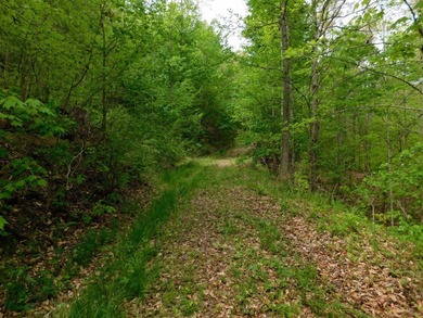 Tucked away in the scenic hills of Magoffin County, this - photo 19