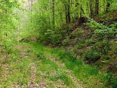 Tucked away in the scenic hills of Magoffin County, this - photo 20