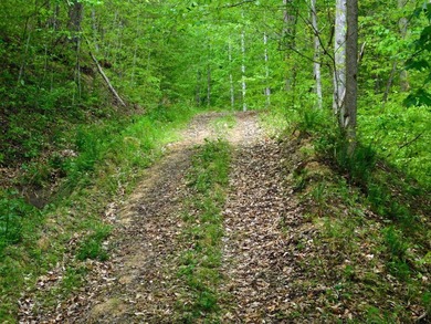 Tucked away in the scenic hills of Magoffin County, this - photo 21