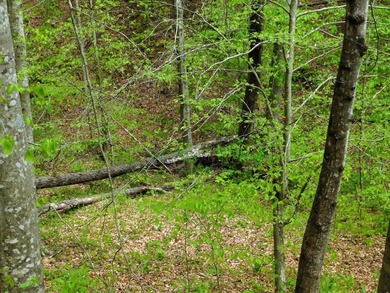 Tucked away in the scenic hills of Magoffin County, this - photo 22