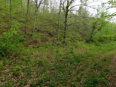 Tucked away in the scenic hills of Magoffin County, this - photo 23