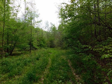 Tucked away in the scenic hills of Magoffin County, this - photo 24