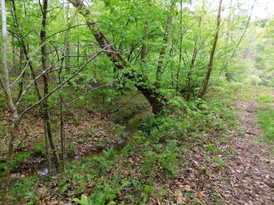 Tucked away in the scenic hills of Magoffin County, this - photo 25