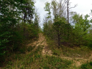 Tucked away in the scenic hills of Magoffin County, this - photo 26