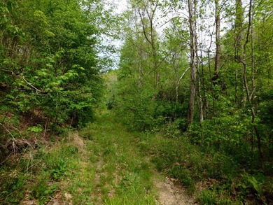 Tucked away in the scenic hills of Magoffin County, this - photo 27
