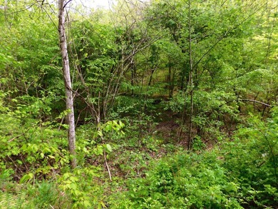 Tucked away in the scenic hills of Magoffin County, this - photo 28