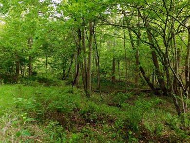 Tucked away in the scenic hills of Magoffin County, this - photo 29
