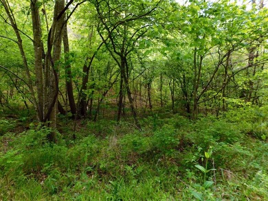 Tucked away in the scenic hills of Magoffin County, this - photo 31